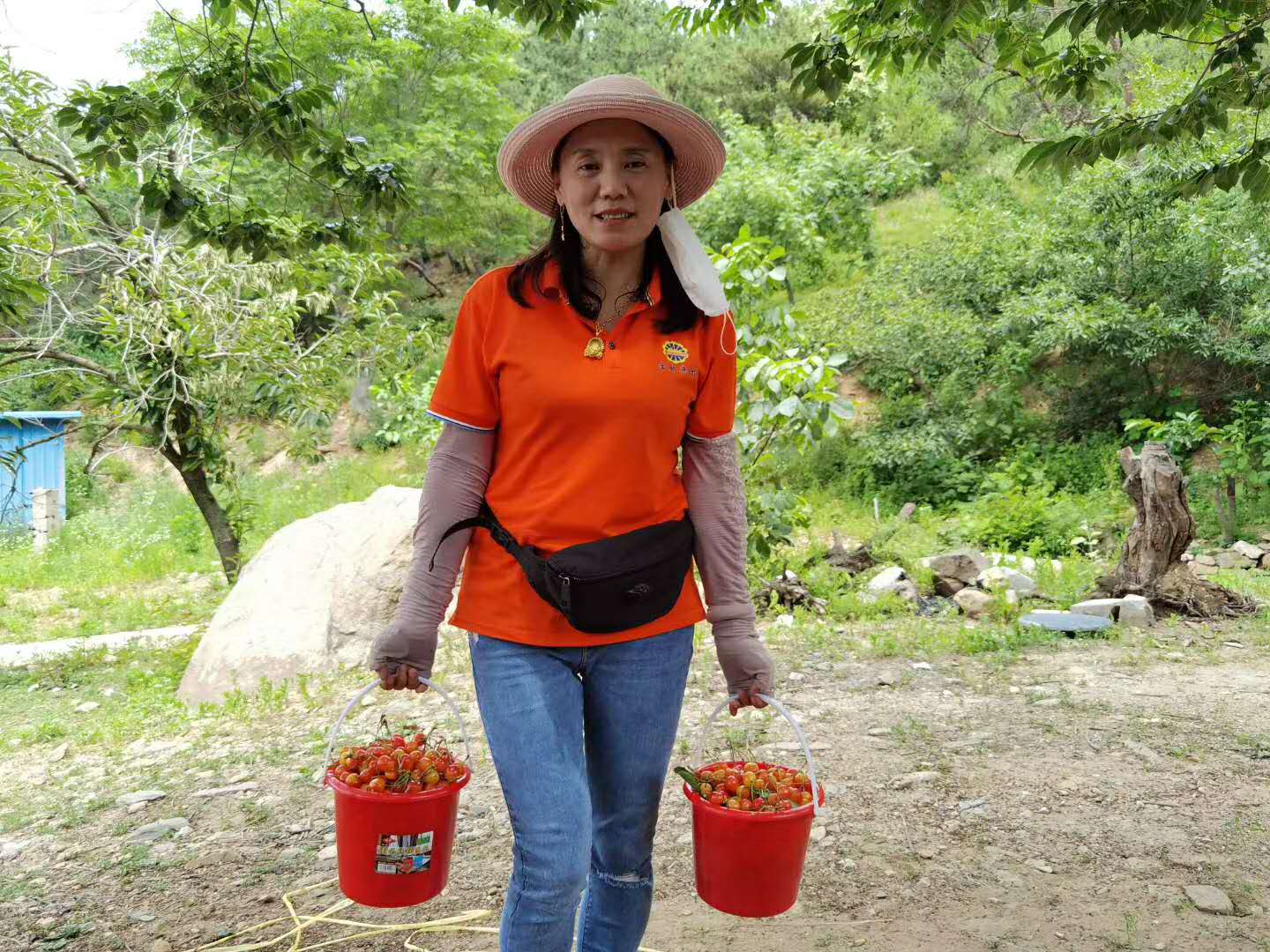 1592355185252821.jpg 1592355185252821.jpg